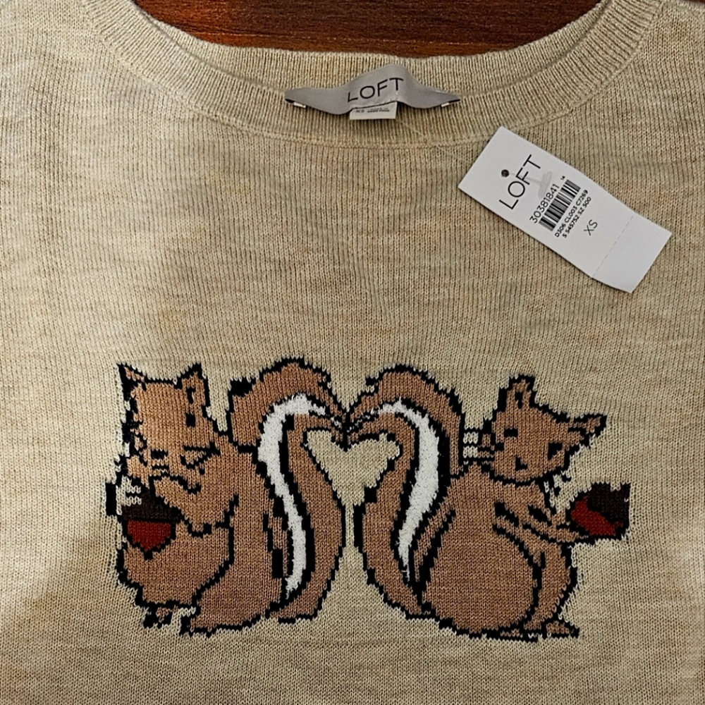 Loft Fall knit top XS NWT